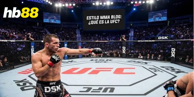 MMA UFC cược kèo HB88 có những điểm đáng chú ý?